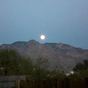 Meet your Posher, Helen